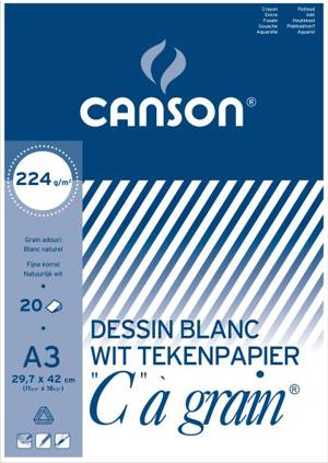 Pochette de 10 feuilles de papier dessin A3 Canson C à grain
