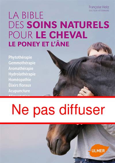 Quelles conditions pour avoir un poney à la maison ?