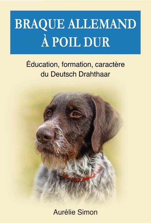 Braque allemand poil dur Education Formation Caract re du