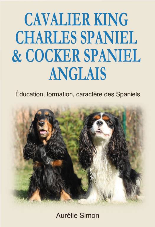 Cavalier King Charles Spaniel Cocker Spaniel Anglais Education